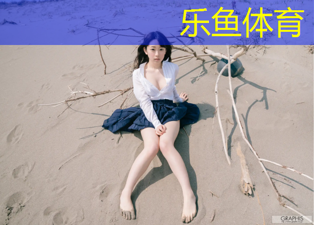 <strong>乐鱼体育,网球网广告图文</strong>