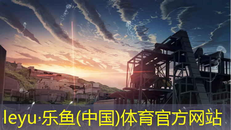 乐鱼体育官方网站,幼儿体育器材篮球