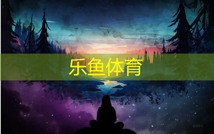 乐鱼体育,万州网球网价格