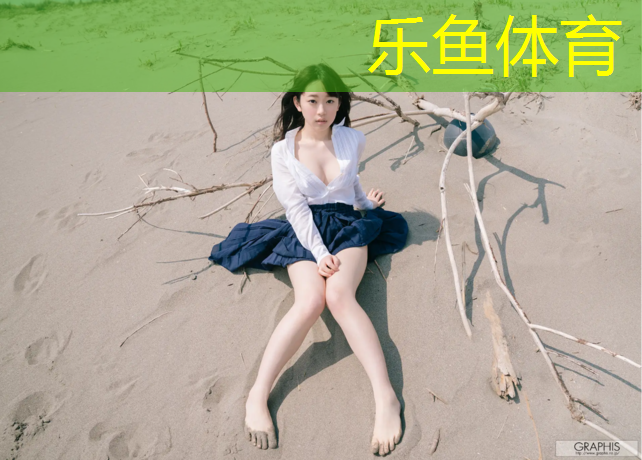 网球网广告图文